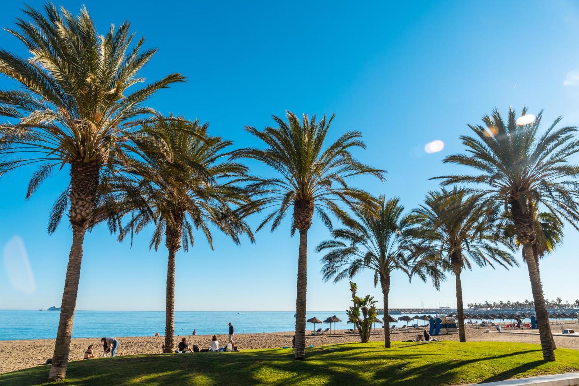 Your Home In Malaga Centro & Parking Free Εξωτερικό φωτογραφία